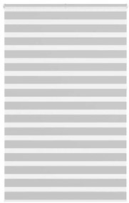 vidaXL Cortina de zebra 150x230 cm largura do tecido 145,9cm poliéster