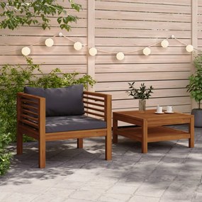 vidaXL Conj. sofás de jardim 2 pcs c/ almofadões cinza-escuro acácia
