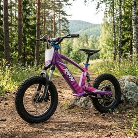 Bicicleta elétrica infantil 350W 16" Roan RXF Evo-S Roxa