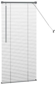 Persiana de Janela Cinzento-escuro 60 x 130 cm Alumínio