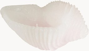 Vela artesanal em forma de concha Cargol