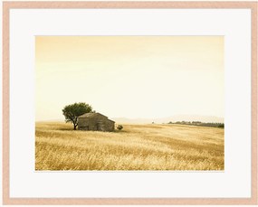 Impressão digital emoldurada Provencal Farm