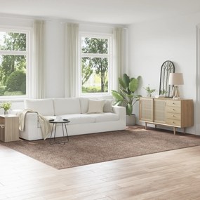 Tapete Macio vidaXL com Base de Látex Marrom 240x340 cm