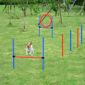 Equipamento completo de agility para cães: obstáculos e treino – conjunto de 11 peças para percurso de agility, com bolsa de transporte em aço vermelh