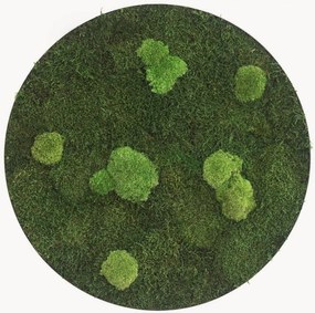 Quadro de parede artesanal com musgo circular Forest & Ball