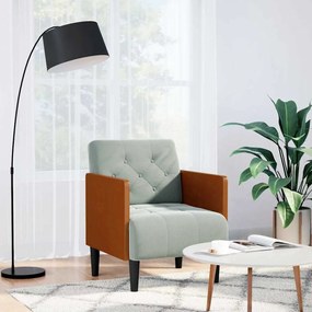 vidaXL Poltrona com apoio de braços 55 cm veludo cinzento-claro