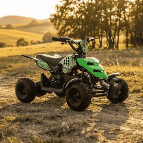 Mini Moto 4 elétrica para crianças Roan Raptor R4 500W Verde