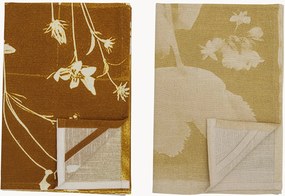 Panos de cozinha Celleste, conjunto de 2