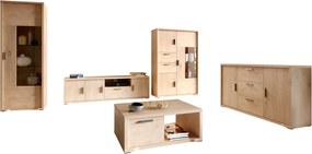 Conjunto para sala de estar Elisale 110