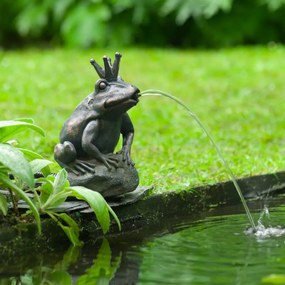 Fonte de jardim sapo rei
