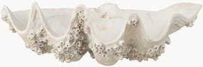 Taça decorativa Seashell