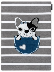 Tapete PETIT BULLDOG CÃO cinzento