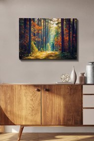 Quadro Decorativo 766886038 – Multicolor – 50 x 70 cm