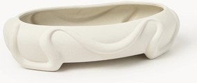 Taça decorativa Blimo