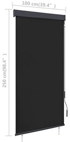 Estore de rolo para exterior 100x250 cm antracite