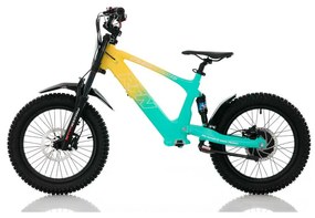Bicicleta elétrica infantil 500W Roan RXF Evo Racing 18" Verde e Amarela