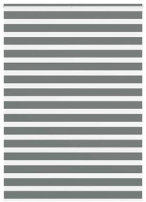 vidaXL Cortina de zebra 165x230 cm largura do tecido 160,9cm poliéster