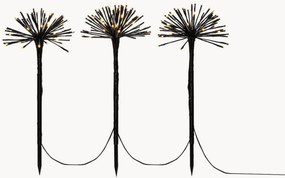 Candeeiros de estaca LED para exterior Pusteblume, conjunto de 3