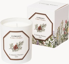 Vela perfumada Cypress (madeira, fresco, resinoso)