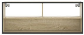 Móvel p/ TV 100x31x39,5 cm deriv. madeira/metal carvalho sonoma