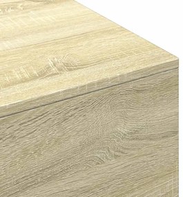 Mesa de centro 100x49,5x31 cm derivados madeira carvalho sonoma