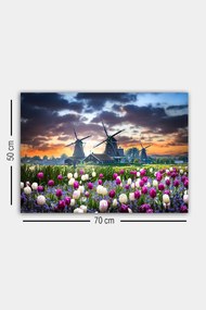 Tela Decorativa 1481242091 – Multicolor – 50 x 70 cm
