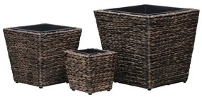 Vasos/floreiras 3 pcs jacinto de água castanho