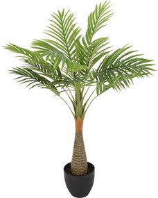 Planta Palmeira Siyu 80cm