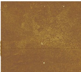 Portão de jardim 105x155 cm aço corten