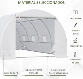 Estufa Tipo Túnel 600x300x200cm com 8 Janelas e Cobertura de Polietile