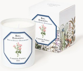 Vela perfumada Rosa Damascena (rosa)