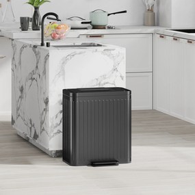 Caixote do lixo com dois compartimentos de 2 x 20 L, 45,5 x 36,5 x 51 cm com pedal, baldes interiores removíveis, preto