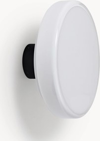 Candeeiro de parede LED regulável Caramel, vários tamanhos