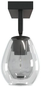 Luzes de Teto com Abajur de Vidro Ajustável em Anthracite, E27