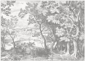Papel de parede não tecido Engraved Landscapes
