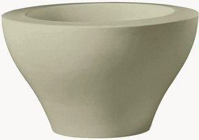 Vaso Ming