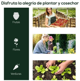 Outsunny Estufa 200x100x80cm para Jardim Terraço Cultivo de Plantas Es