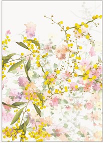 Toalhas de chá em algodão Mimosas, conjunto de 4