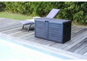 Arca EDA Cinzento escuro Plástico