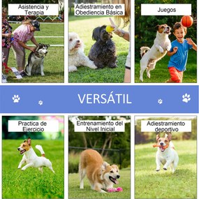 PawHut Conjunto de treino de agilidade para cães com bolsa de transpor