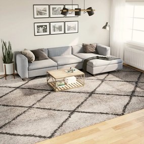 vidaXL Tapete shaggy de pelo alto PAMPLONA 300x400 cm bege e antracite