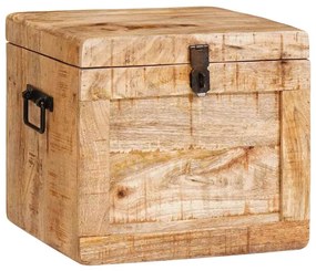 vidaXL Caixa de Armazenamento Castanho Madeira de manga maciça