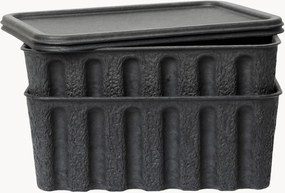 Caixas em polpa de papel Pulp, P 30 cm, conjunto de 2