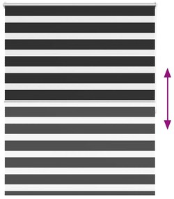 Estore de rolo 120 x 175 cm, linhas de zebra / Preto