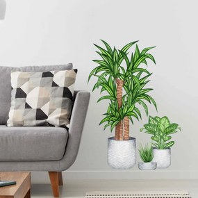 Autocolante de parede para sala de estar - Plantas de casa