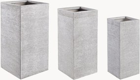 Vasos Charlotte, conjunto de 3
