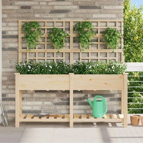 Jardineira com Treliça e Prateleira vidaXL 161x43x152 cm Madeira Sólida de Pinho