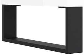 Sapateira 102x36x60 cm derivados de madeira branco brilhante