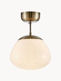 Ceiling Lamp Rise