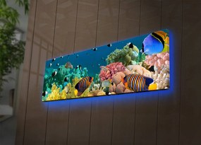 Pintura Decorativa em Tela com Luzes LED 3090DACT-13 – Multicolor – 30